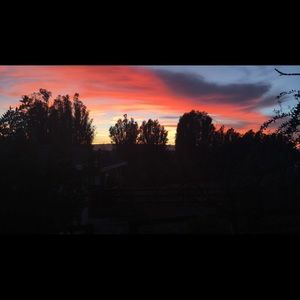 Meet your Posher, Joy